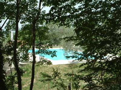 Piscina...dal bosco