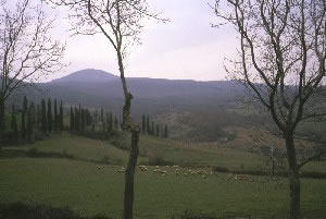 Scorcio di campagna