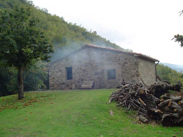 seccatoio di castagne